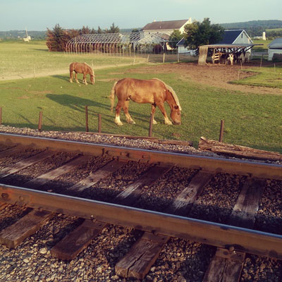 Train Tracks and Horses in Lancaster PA County