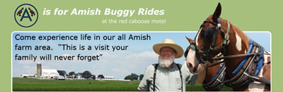 A is for Amish Buggy Rides