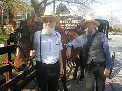 Abe's Buggy Rides