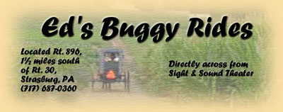 Ed's Buggy Rides