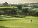 Bogey Macaws at Springwood Golf Course