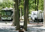 Dutch Cousin Campground