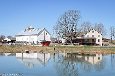 Verdant View Farm Bed & Breakfast