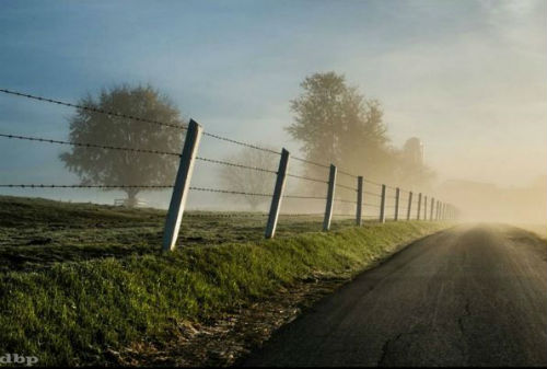 A Look Down A Foggy Road Where do you see your photography in the future? What styles are you looking to try or hone in on? Do you see yourself doing any printed work?