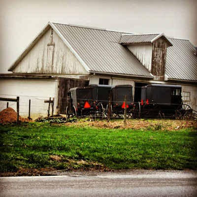 Amish Buggies Gathered at Barn Strasburg PA Lancaster County PA