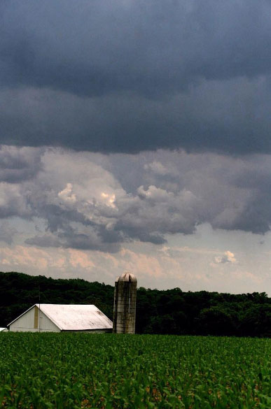 Amish Farm Lancaster Photographer Missy Herr When you first came onto the scene it was super vivid. I'm guessing you were editing. Now I'm seeing a lot more realistic shots just clean photography. That changed?