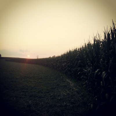 Amish Farm near Lancaster PA 0