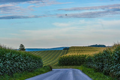 Country View Lancaster PA Some of your shots really do look like paintings! 
