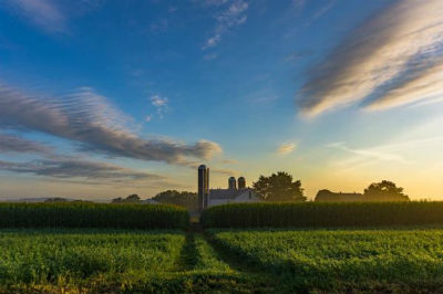 Farm Summer Photo Seth Dochter It is interesting how distinct these groups are.