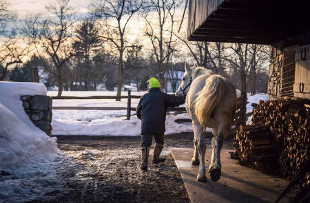 Farmer Walking Horse Out Of Barn House Have you thought about Tumblr adding that to your mix. I’m sure that does well with horses too.