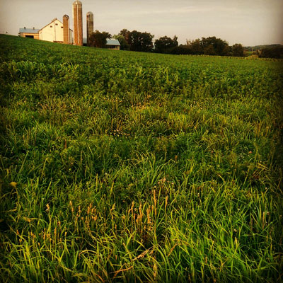 Farms in Lancaster PA