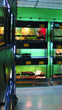 Fish Tanks at That Fish Place That Pet Place Lancaster PA That Fish Place That Pet Place