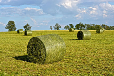 Hay Rolled up Lancaster County Field Reiff So I'm seeing that photography is your Zen!