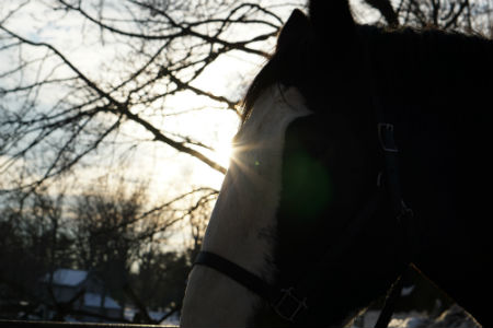 Horse With Sunset In The Background Is there an area that is still a mission for you?