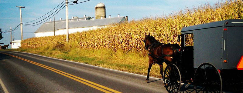 Horse and Buggy Lancaster County <em>Imagine Lancaster</em>
-VLPA editors hand pick the best Things To Do in Lancaster