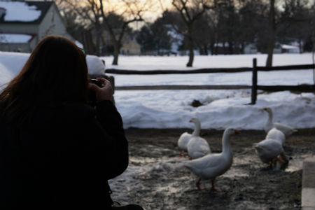 Jen Macneil Taking Photos Of Geese Where do you start to investigate for that depth?