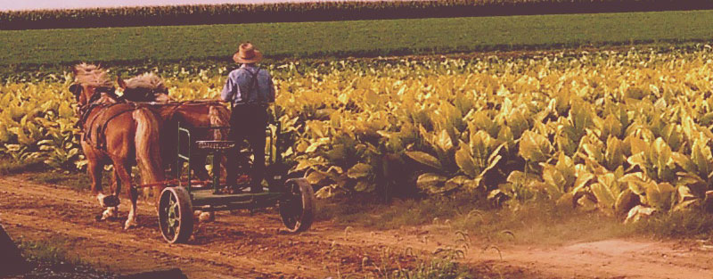 Lancaster County Amish Pennsylvania Smorgasbords and Buffets
-in Lancaster PA