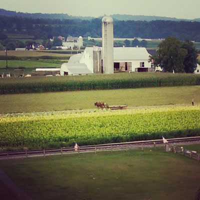 Lancaster Farmland