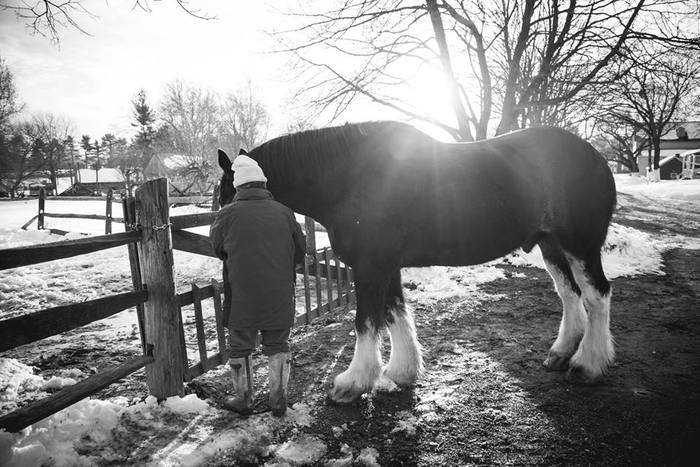 Man Tending To Horse Black And White