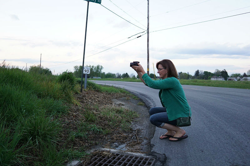 Michelle Getting a Landscape Shot An Interview with Michelle Fritz