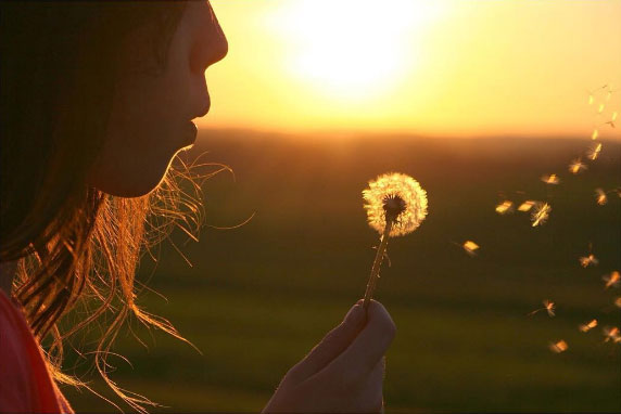 Missy Herr Lancaster Photographer Blowing Flowers Throughout your amazing portfolio I've seen some examples of portrait photography. Is that something you are interested in?