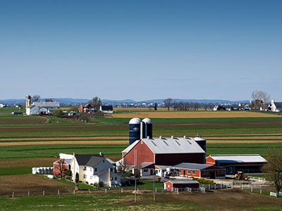 Red Amish Farm Thumb Down on the Farm