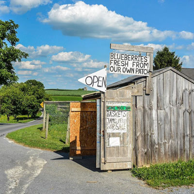 Signs in Lancaster County Tana Reiff I remember seeing the covers for these books. Is the theme Lancaster County related?