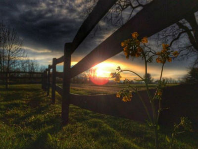 Sunset Through A Fence Deiter What can we expect from Tyler Deiter in the coming months?