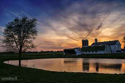 Tammy Lorch Photography Lancaster PA 10 Prior to joining the group what were you doing with photography?