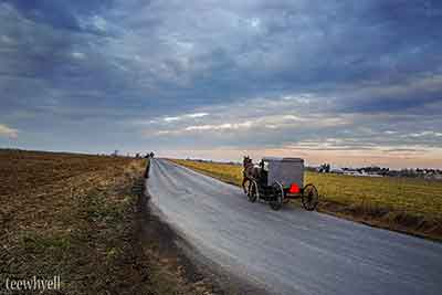 Tammy Lorch Photography Lancaster PA 7 You are more into the Lancaster countryside?