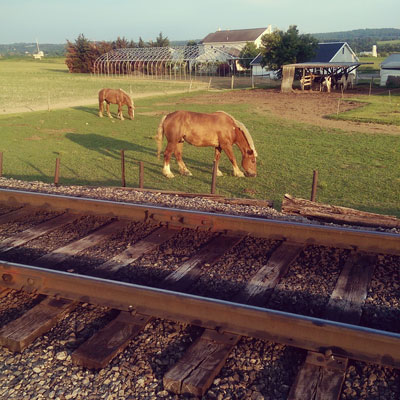 Train Tracks and Horses in Lancaster PA