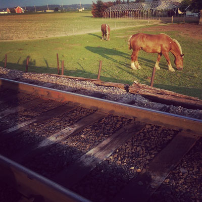 Train Tracks and Horses in Lancaster PA