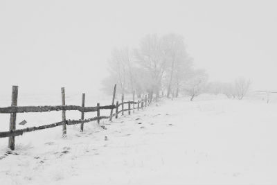 Winter Fun In Lancaster Cover Winter Fun in Lancaster PA