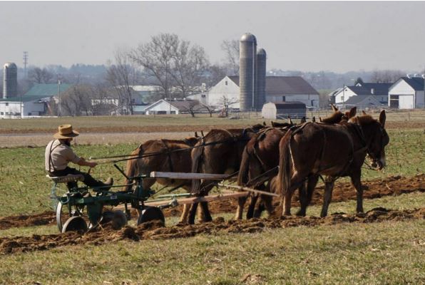 primitive farming techniques.JPG SPRING: The Awakening of the Farms