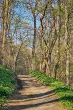 trail at shenk s ferry resized Who owns and maintains it? What can I do there?